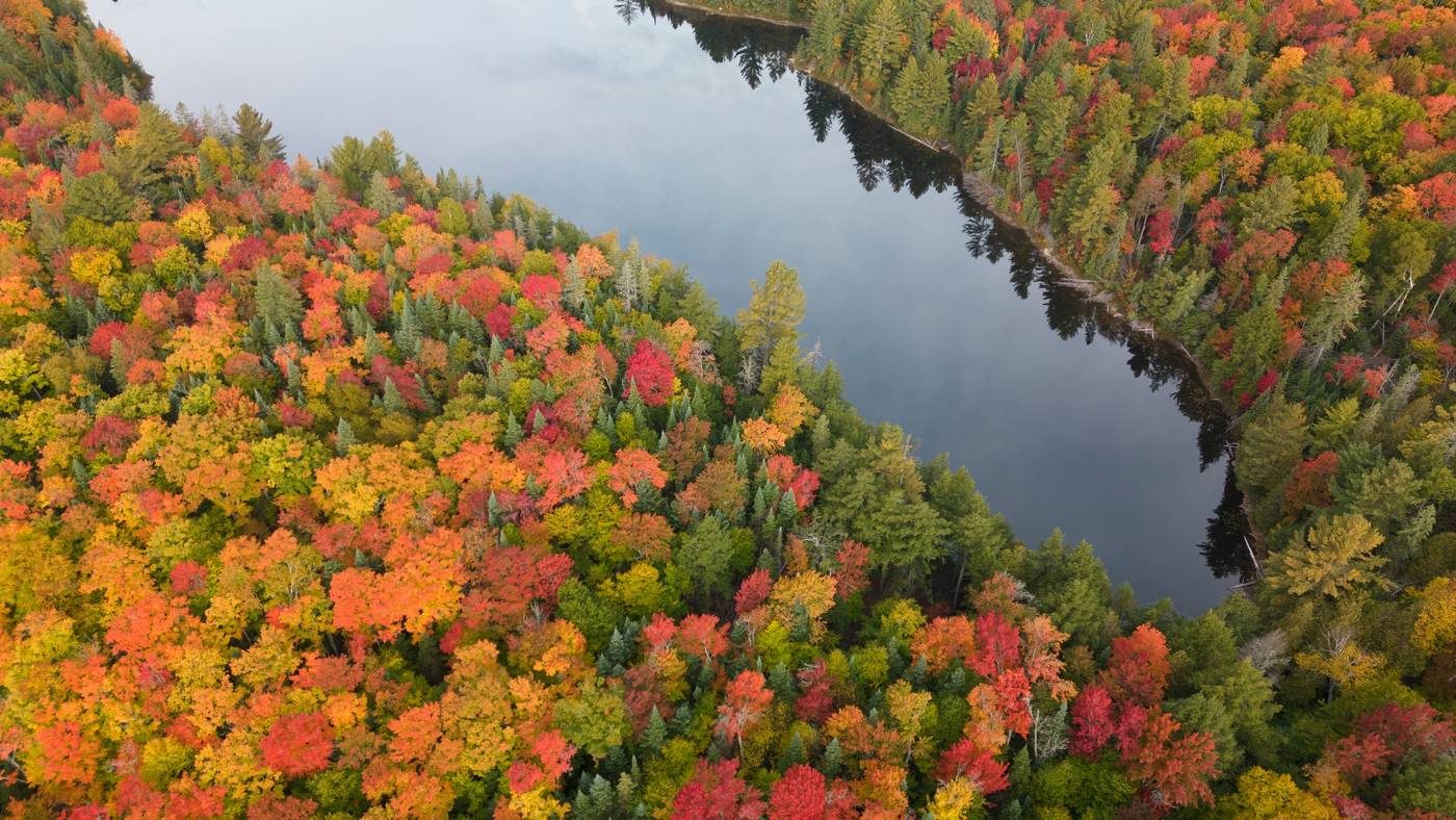 Algonquin Park at peak colour from above