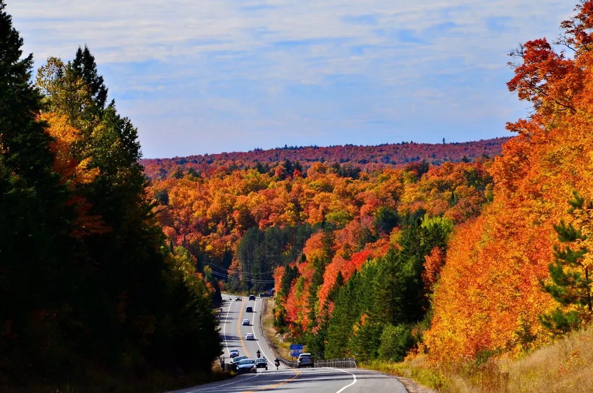 Highway 60 through Algonquin at peak colour