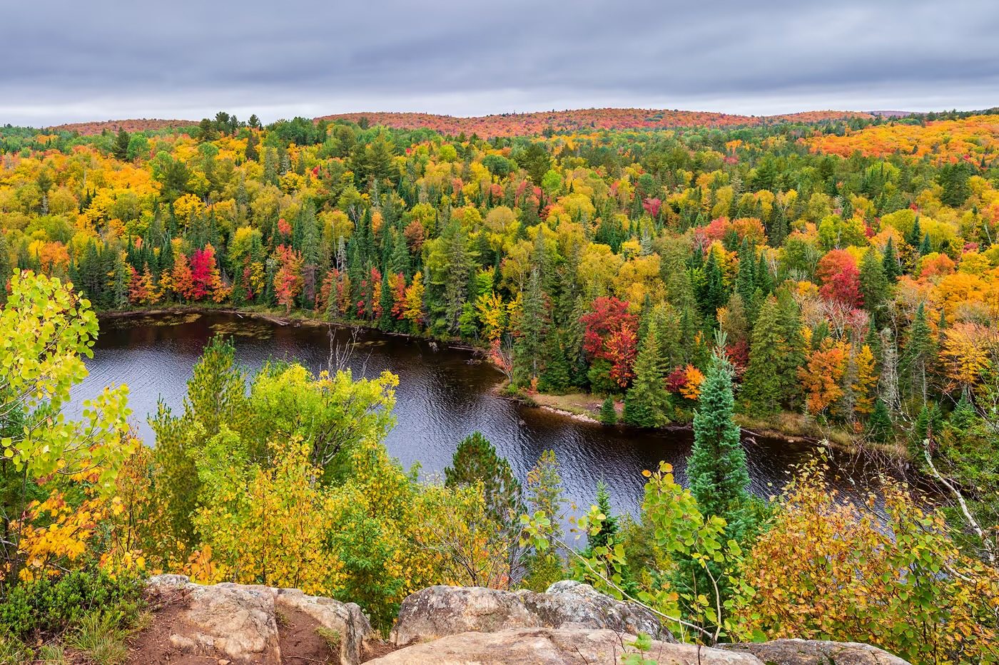 Peak fall colour around a lake in Ontario, from above