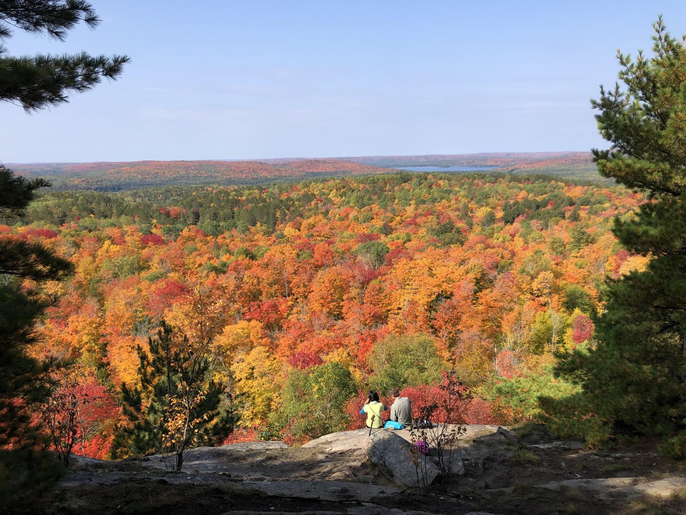 A hillside of red and orange maples at peak