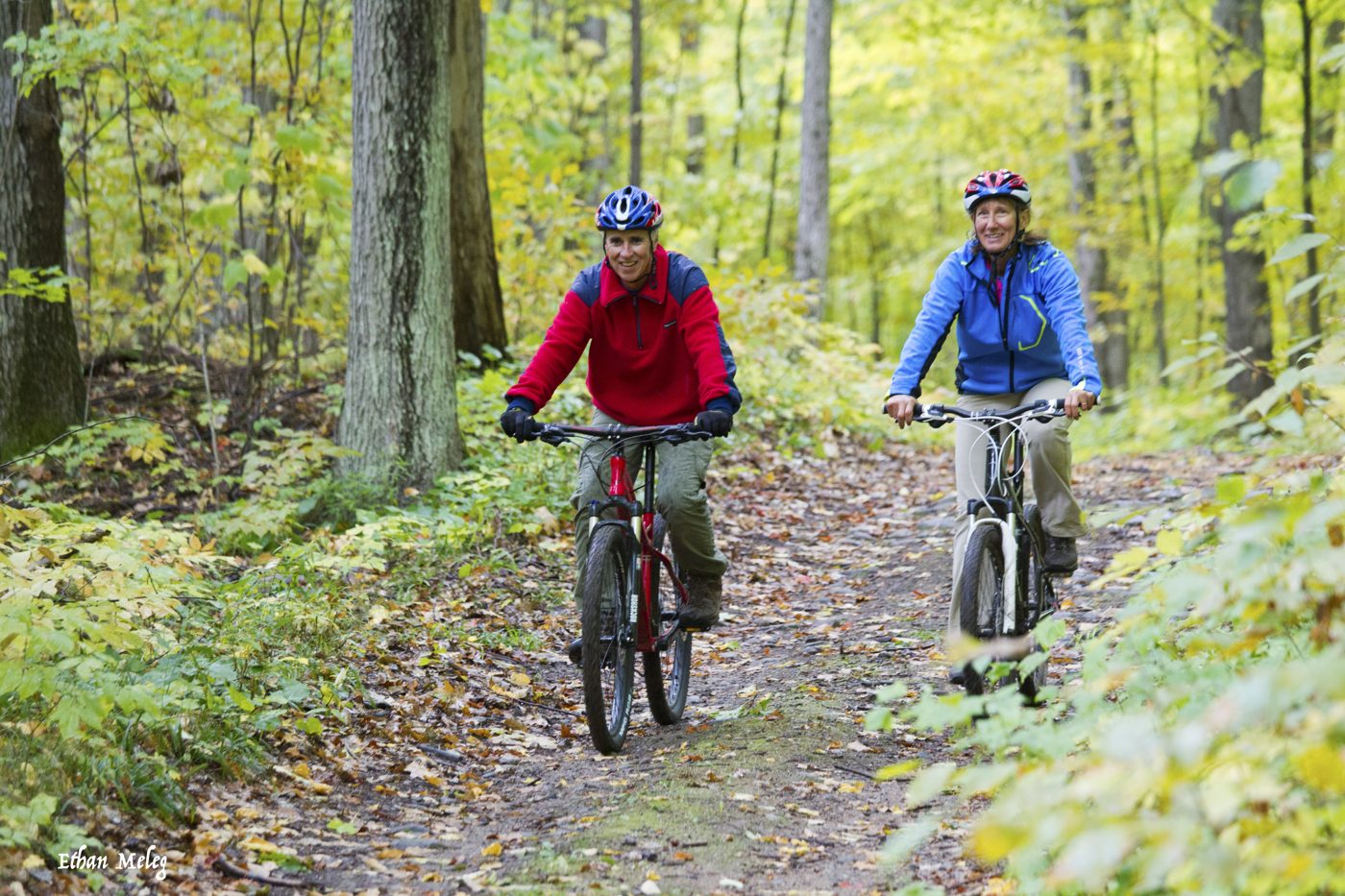 Two cyclists on a forest trail in fall