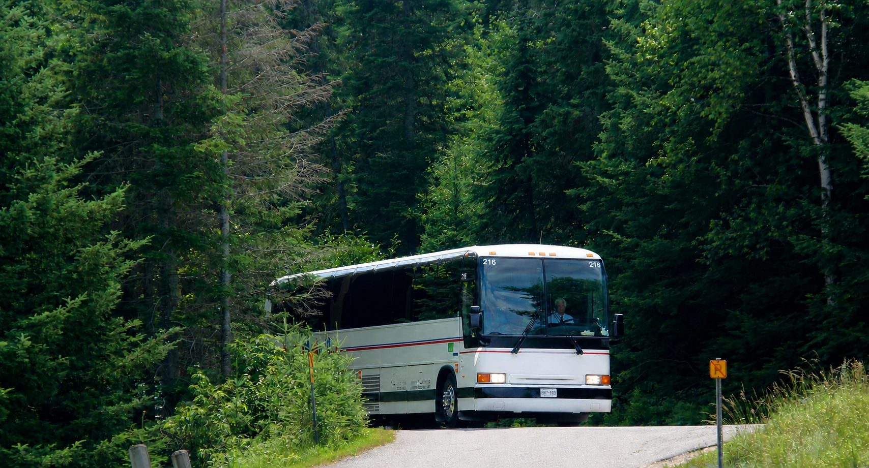 A Parkbus coach coming down a forest road
